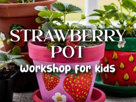 Strawberry Pot Workshop for Kids