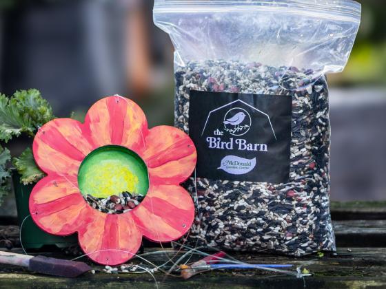Paint Your Own Bird Feeder Workshop for Kids