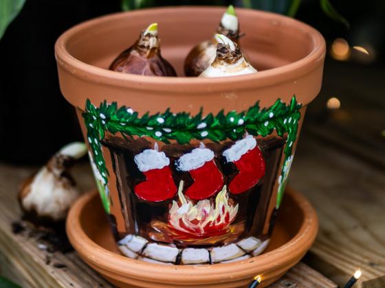Holiday Bulb Planter Workshop for Kids