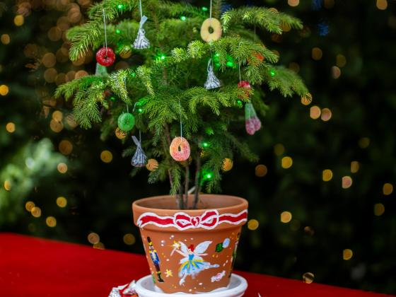 Sugar Plum Garden Workshop for Kids