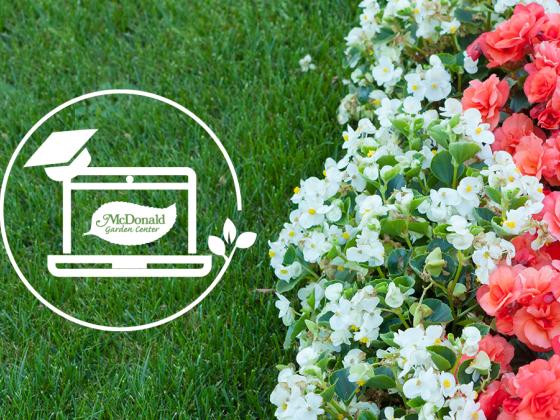 Accessorizing Your Landscape with Annuals, McDonald Garden Center