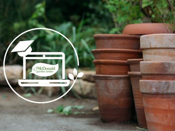 Facebook Live Webinar - DIY: How to Age Terracotta, McDonald Garden Center