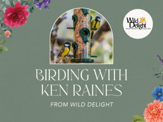 Birding with Ken Raines from Wild Delight