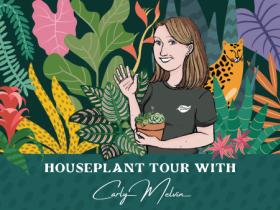 September Houseplant Tour with Carly Melvin