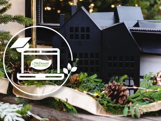 Deck the Halls: Mastering Christmas Decor with the Garden Guru