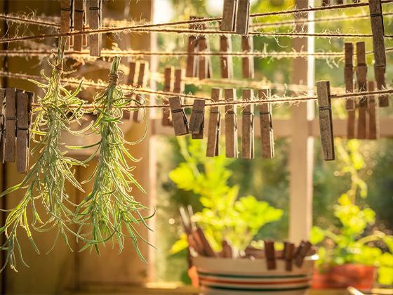 Edible Gardening: Storing for Winter In-Store Seminar
