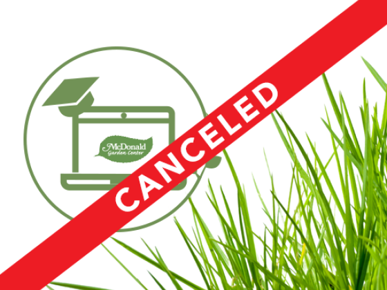 Facebook Live Webinar - Let's Talk Lawns