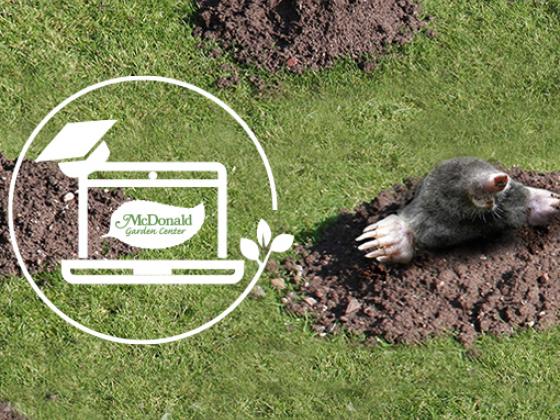 Spring Showcase Special: Moles and Voles, McDonald Garden Center