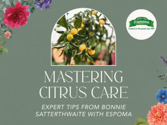 Mastering Citrus Care: Expert Tips from Bonnie Satterthwaite with Espoma