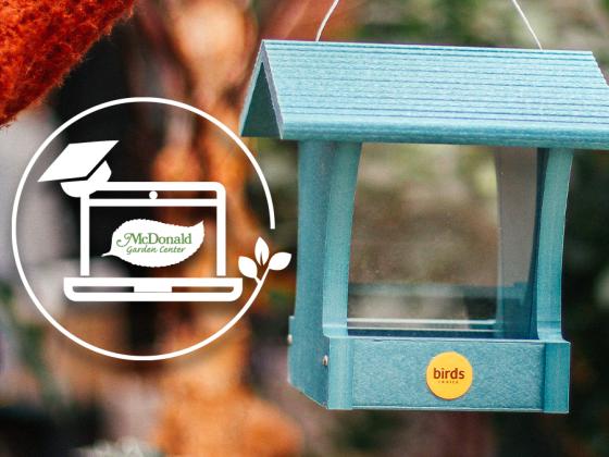 The Guru’s Top 3 Birding Buys 