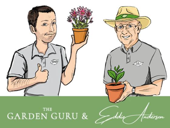 Container Gardening with Mr. Anderson, McDonald Garden Center