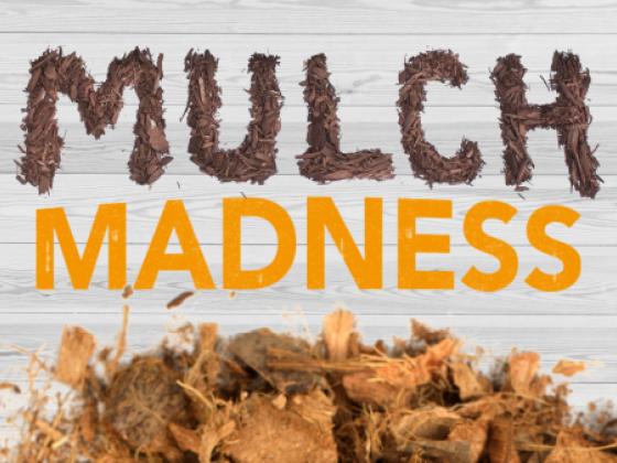 Mulch Madness