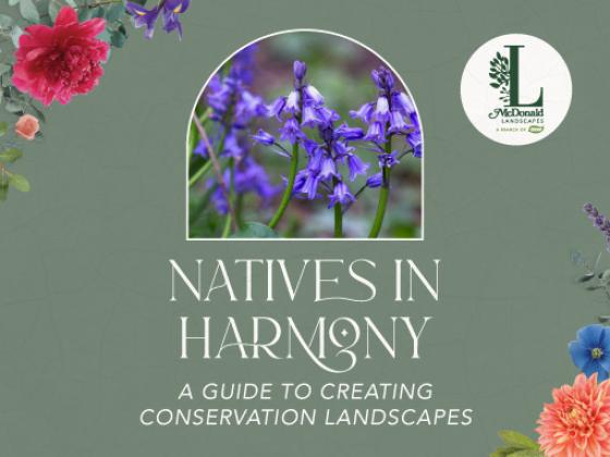 Natives in Harmony: A Guide to Creating Conservation Landscapes
