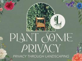 Plant Some Privacy: Privacy Through Landscaping