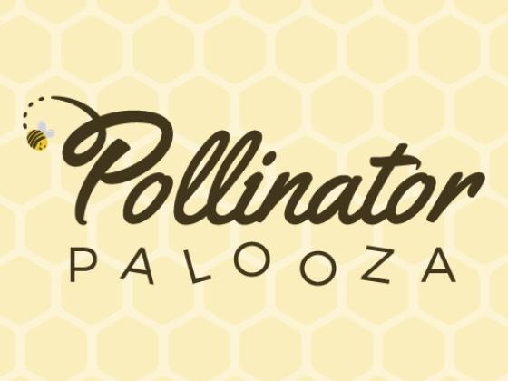 Pollinator Palooza