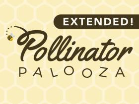 Pollinator Palooza Extended