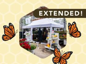 Monarch Butterfly Tent Extended
