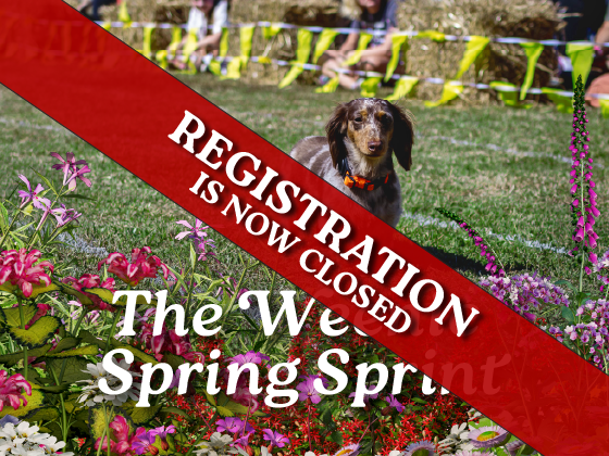 The Weenie Spring Sprint