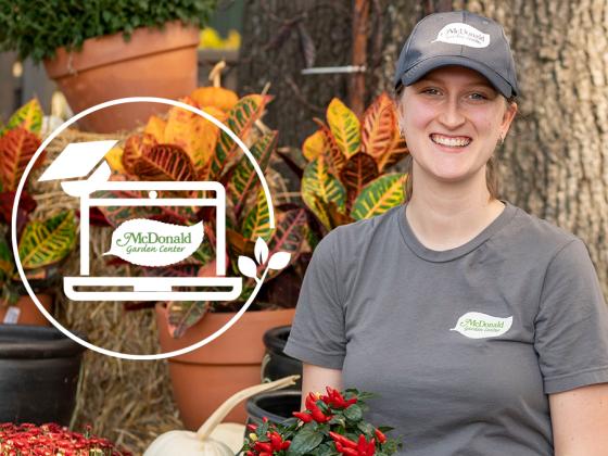 Facebook Live Webinar - Staff Fall Favorites, McDonald Garden Center