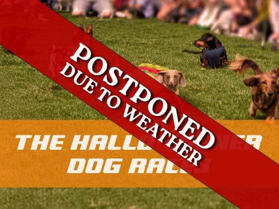 The Hallo-wiener Dog Race - Postponed