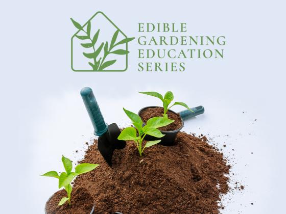In-Store Seminar: Edible Gardening Education Series - Intro to Veggie Gardening