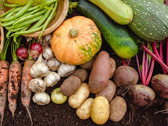Veggie Gardening: Fall Veggies Seminar