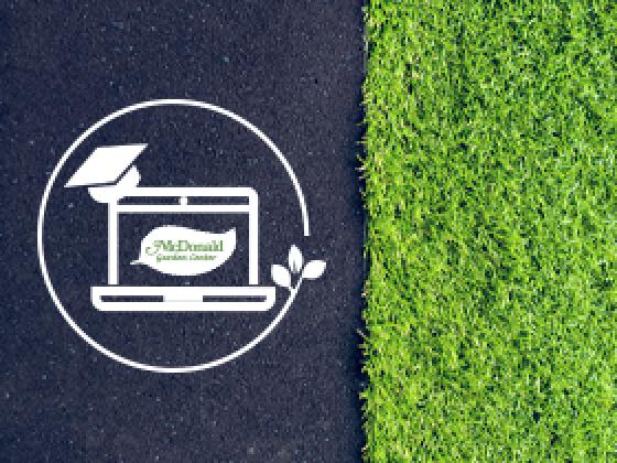 Spring Showcase Special: Take the Guesswork out of Grass Plugs, McDonald Garden Center