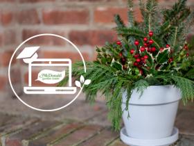 Decorating with Fresh Greens, Porch Pots, and More, McDonald Garden Center