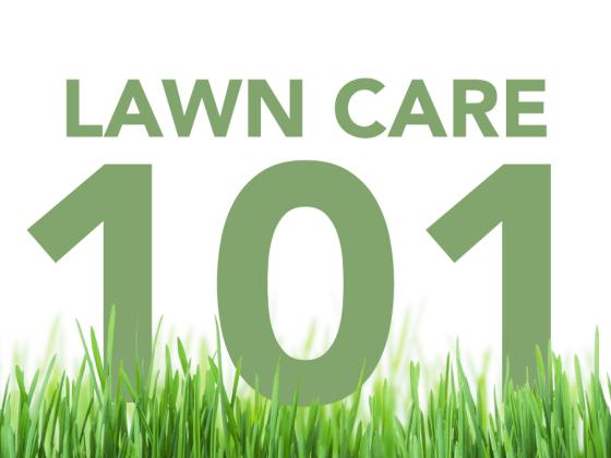 Lawn Care 101 - October Seminar