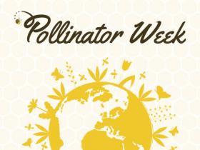 National Pollinator Week 2021, McDonald Garden Center