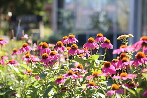 McDonald Garden Center Photo