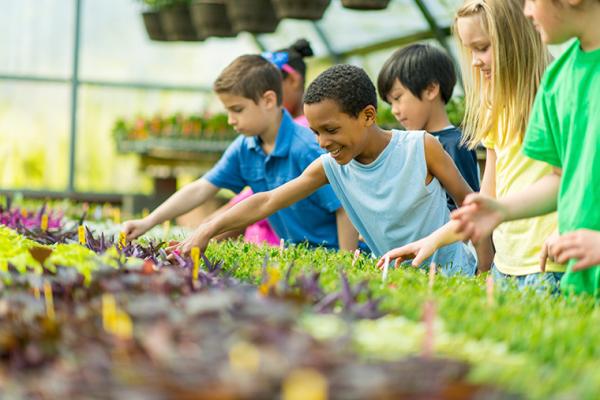 Kids Gardening, McDonald Garden Center