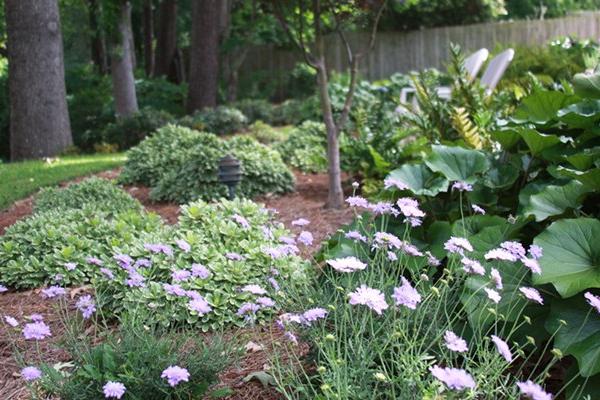 McDonald Garden Center Photo