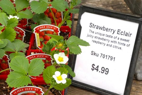 McDonald Garden Center Photo