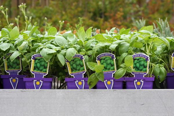 McDonald Garden Center Photo