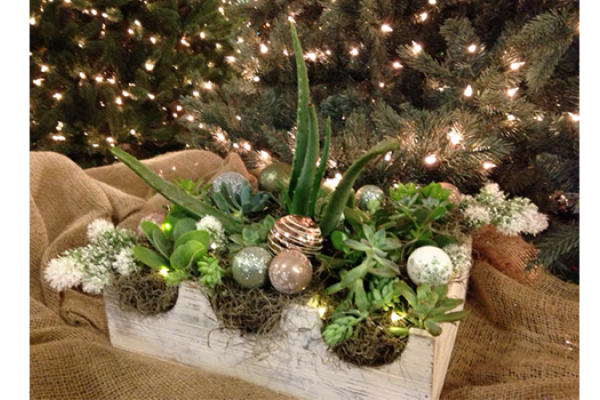 Holiday Centerpiece, McDonald Garden Center
