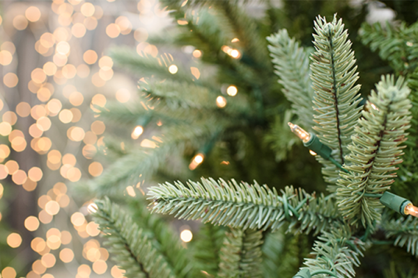 Lifelike Trees, McDonald Garden Center