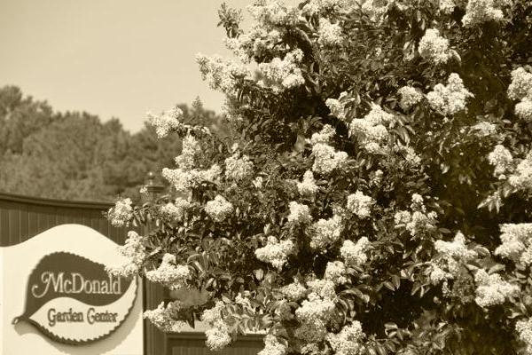 McDonald Garden Center Photo