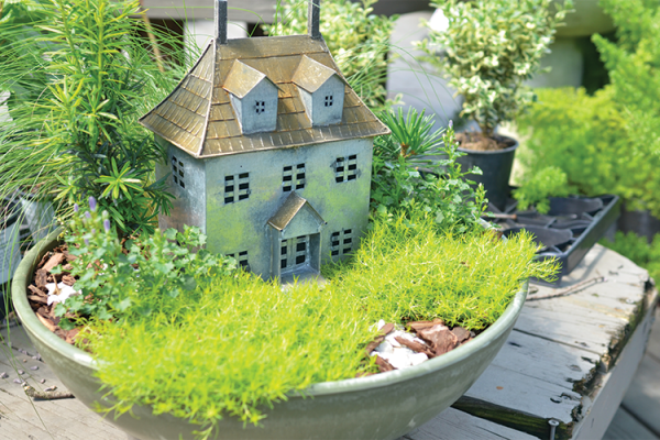 Miniature Gardens, McDonald Garden Center