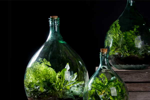 Building Bottle Terrariums, McDonald Garden Center