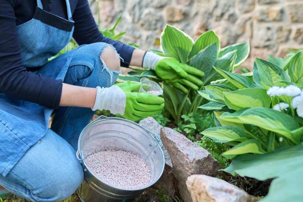 Feeding Your Plants This Summer, McDonald Garden Center