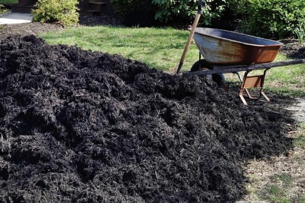  The Mulch Matchmaker: Choosing the Right Mulch for Your Garden Beds