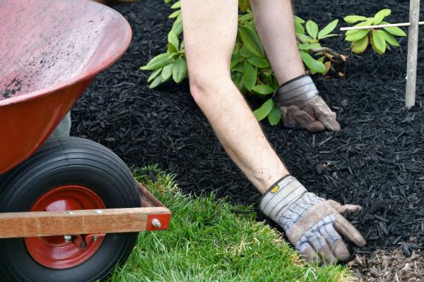 Mulching - Why is it so Important?