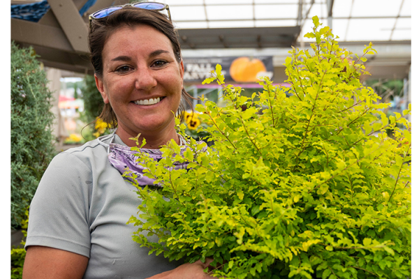 Staff Fall Favs, McDonald Garden Center