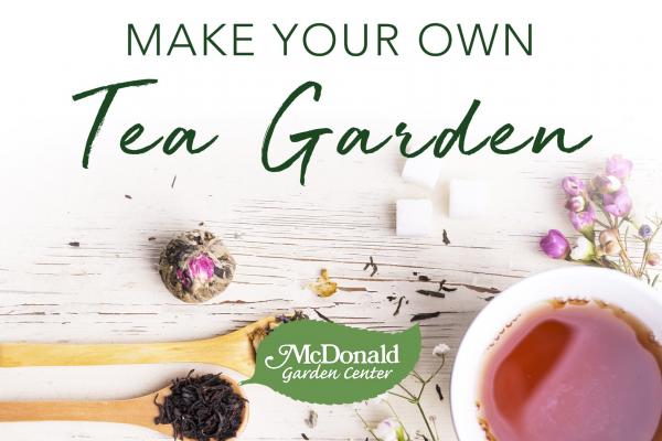 Tea Garden