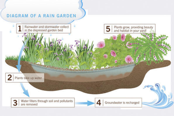 Rain Diagram
