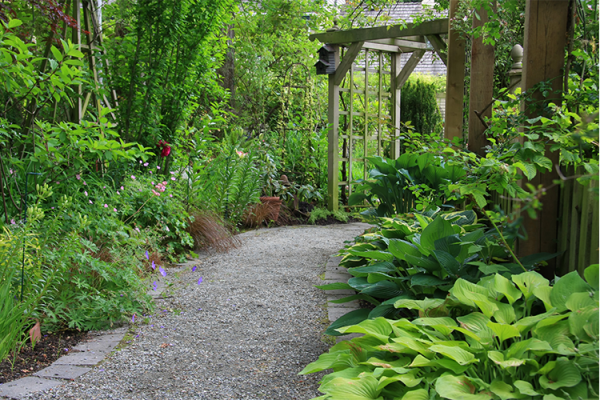Shade Garden