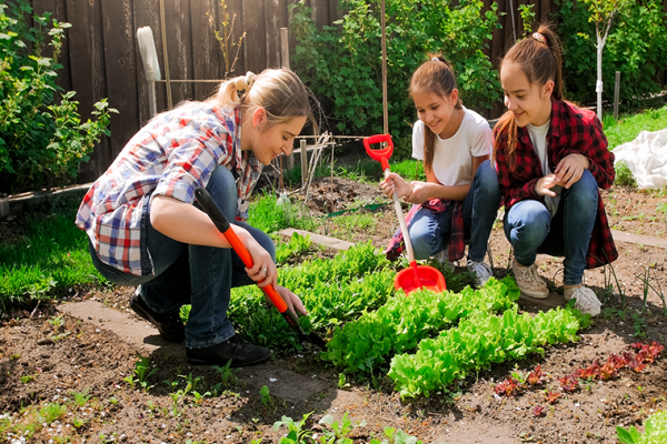Gardening