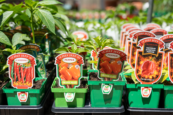 Peppers, McDonald Garden Center