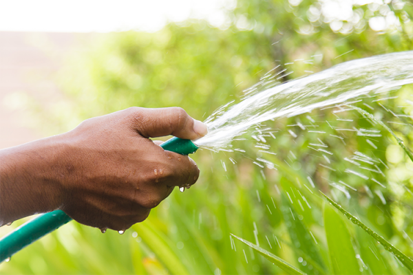 Watering, McDonald Garden Center 